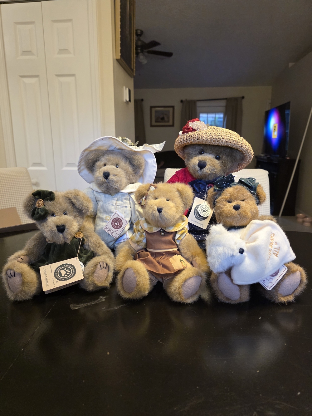Boyds Bears lot of 5 Eleanor Bearsevelt NWT/Lady Flora Monarch/Camryn Pearsley
